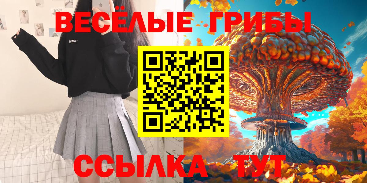 Псилоцибиновые грибы GOLDEN TEACHER Холмск