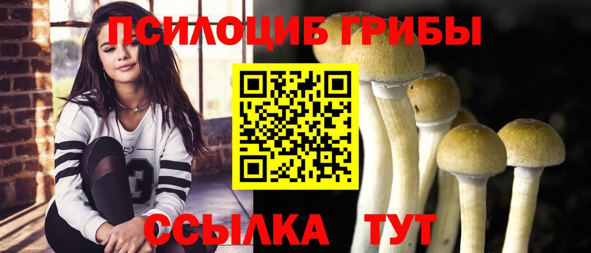 Холмск  Галлюциногенные грибы GOLDEN TEACHER  закладка  Вход с VPN 